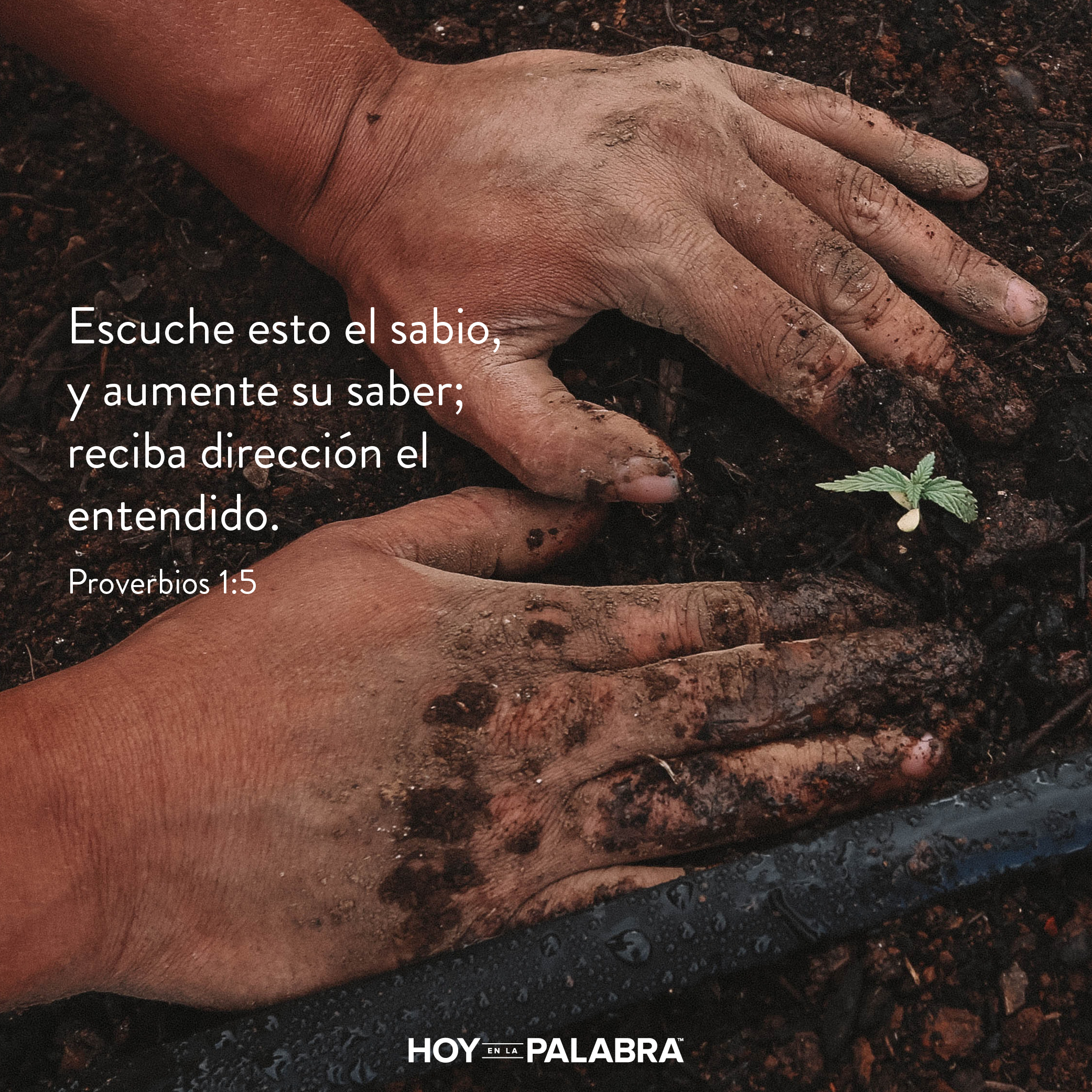 Un deseo santo de aprender