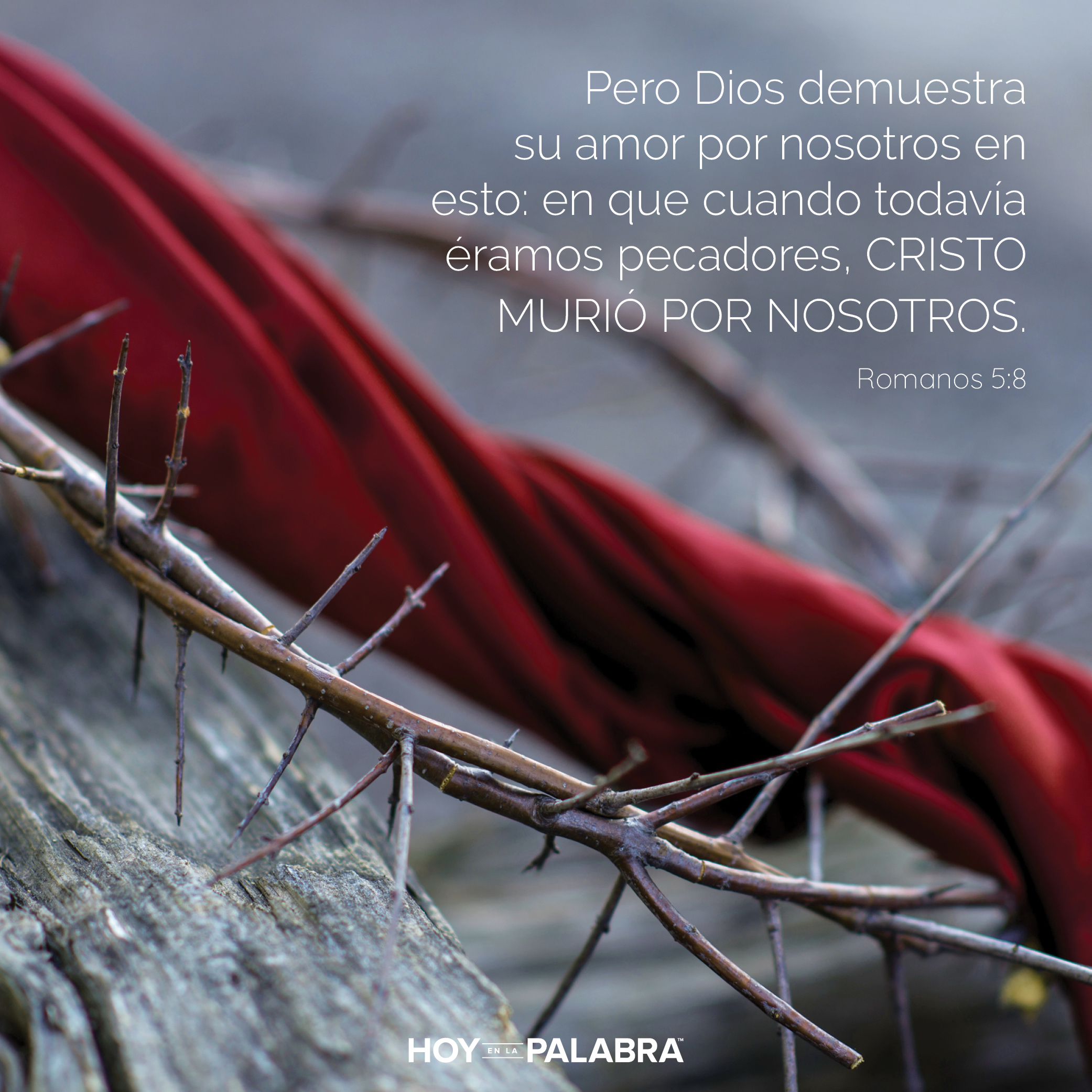 Amar hasta la muerte