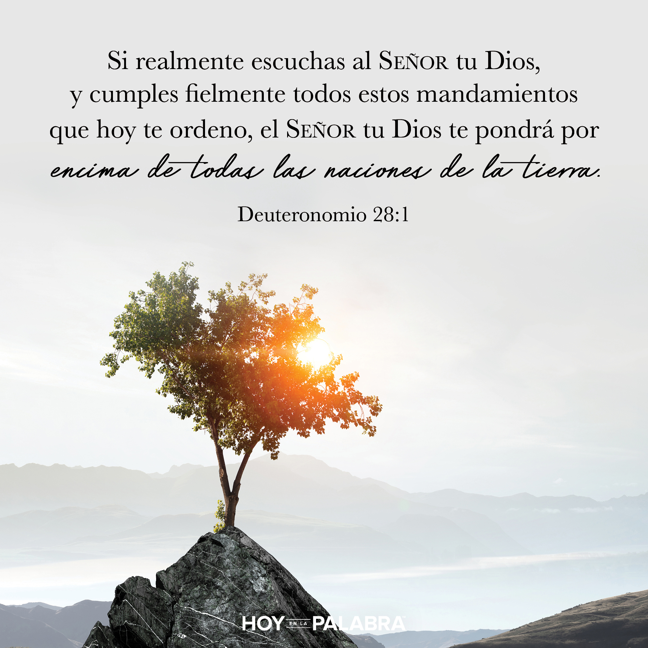 Bendición y maldición