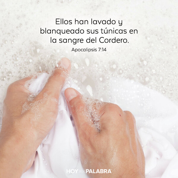 LA TÚNICA DEL CORDERO