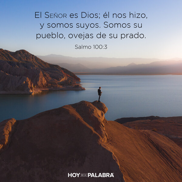 Las ovejas de Su prado