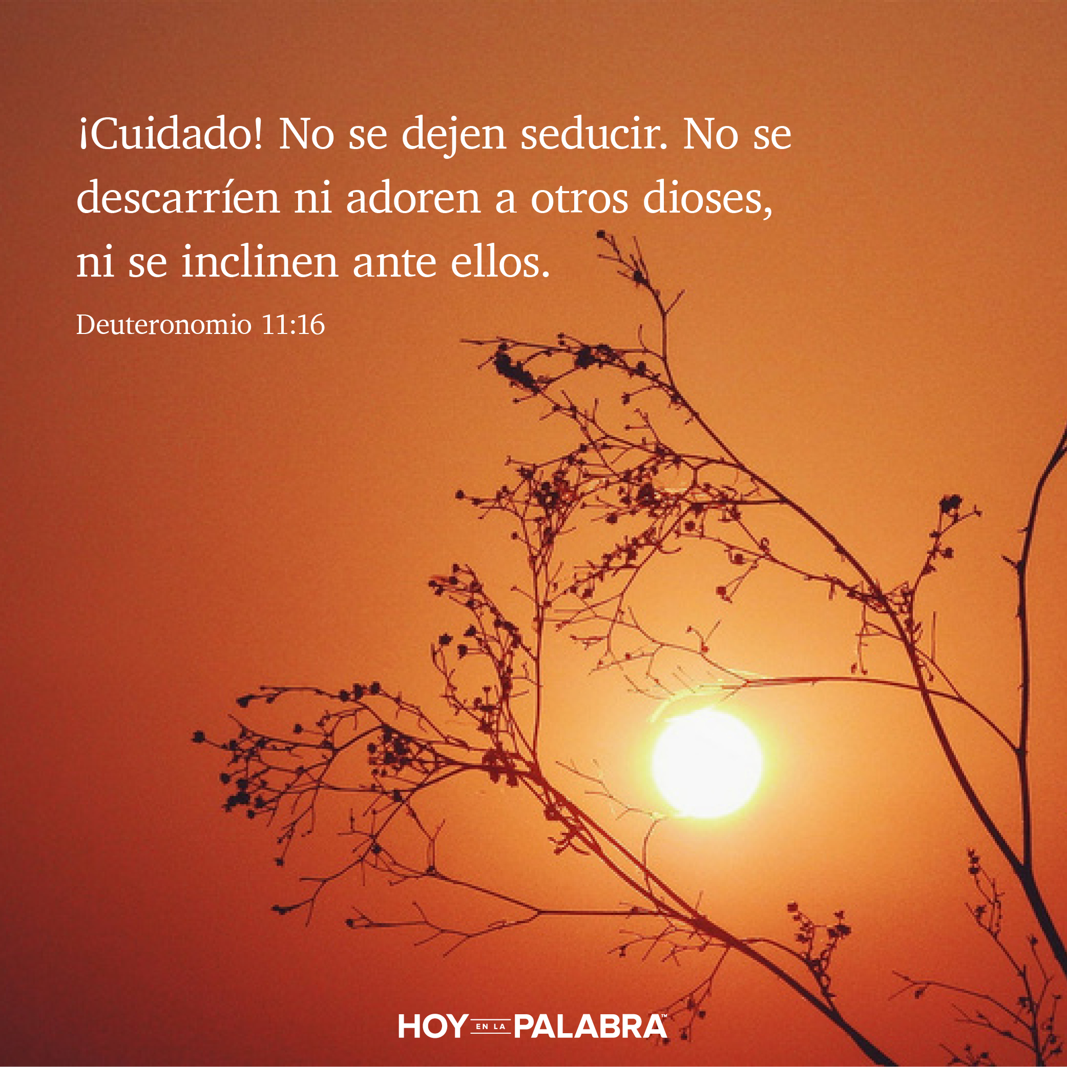 ¿Quién manda aquí?