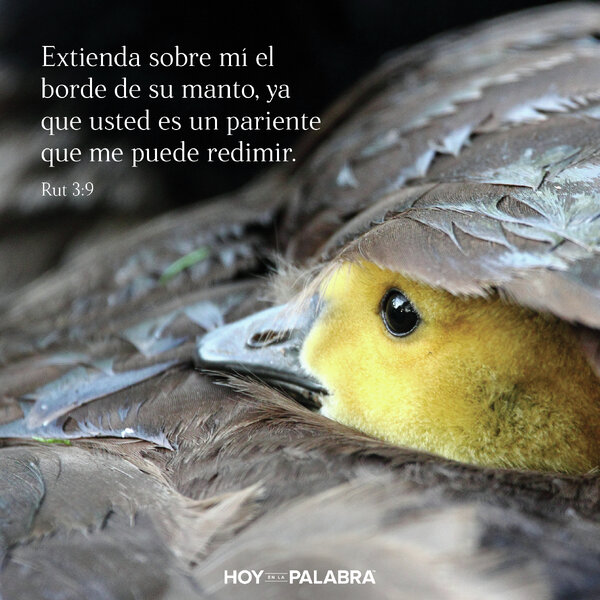 EL PARIENTE REDENTOR