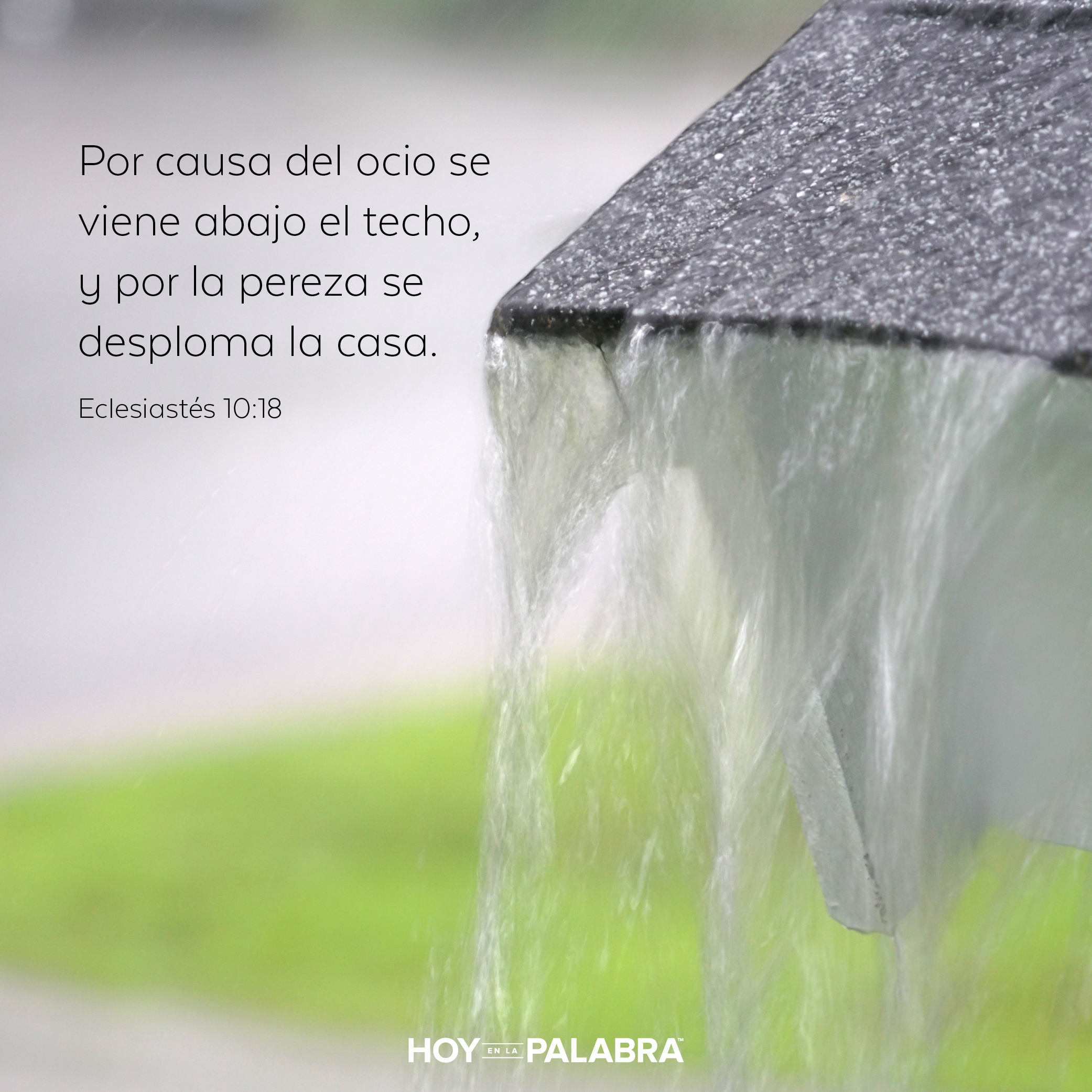 Ociosidad y desorden