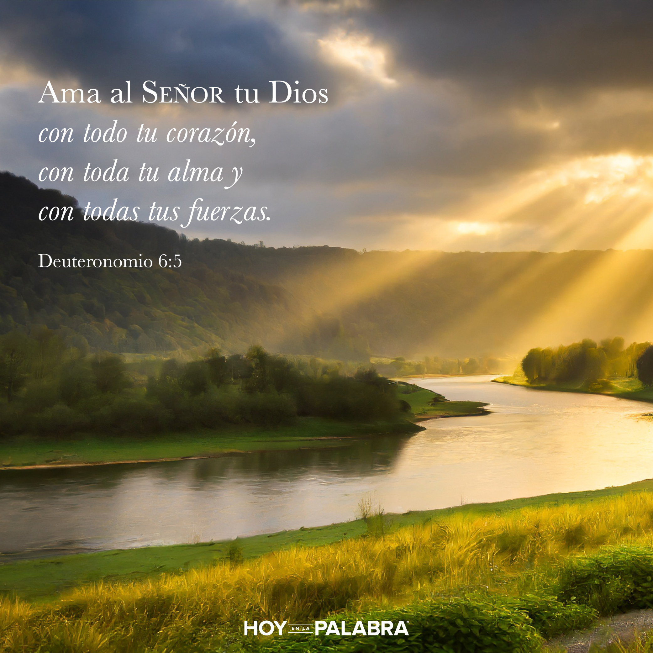 CON TODO TU CORAZÓN