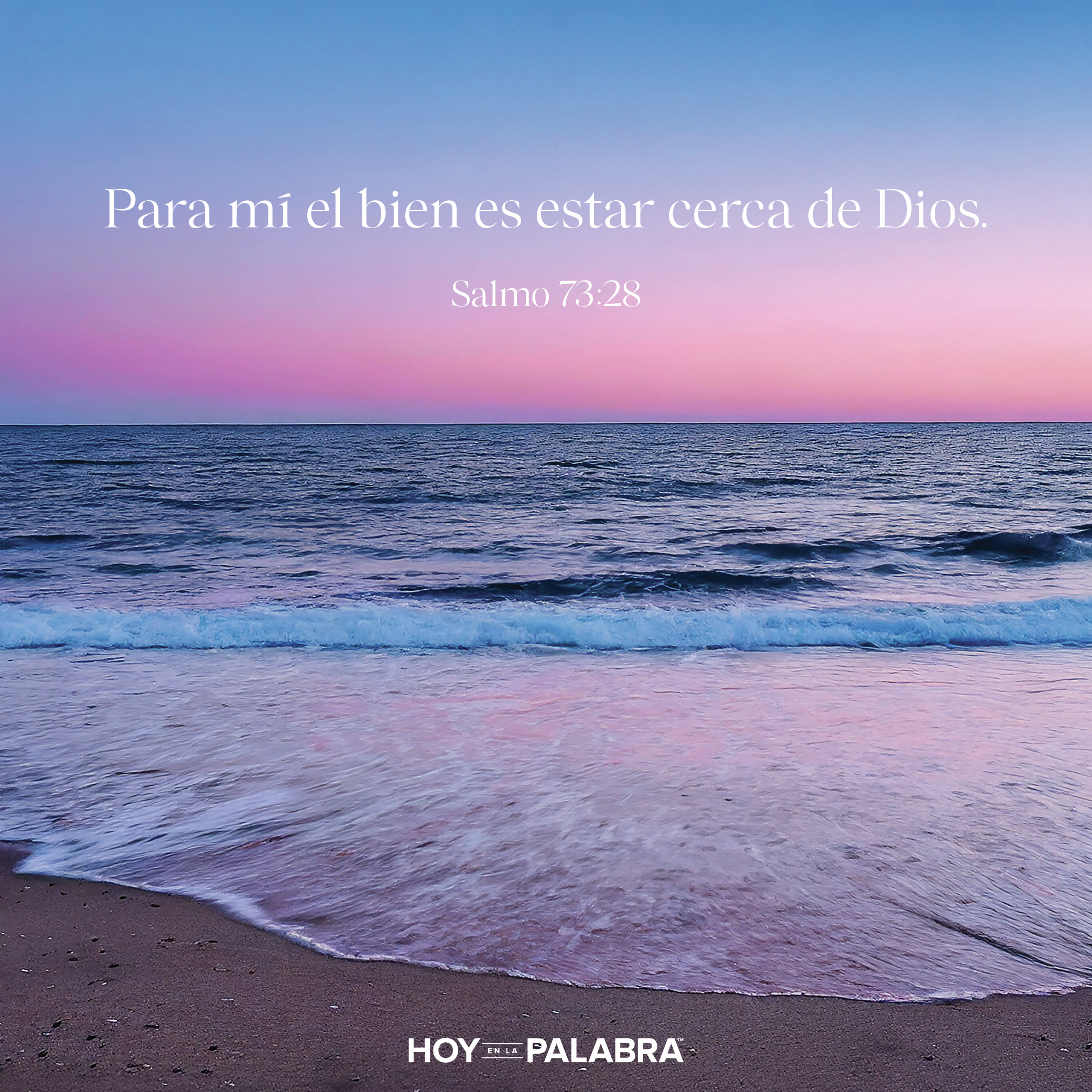 JOB:VER CON CLARIDAD