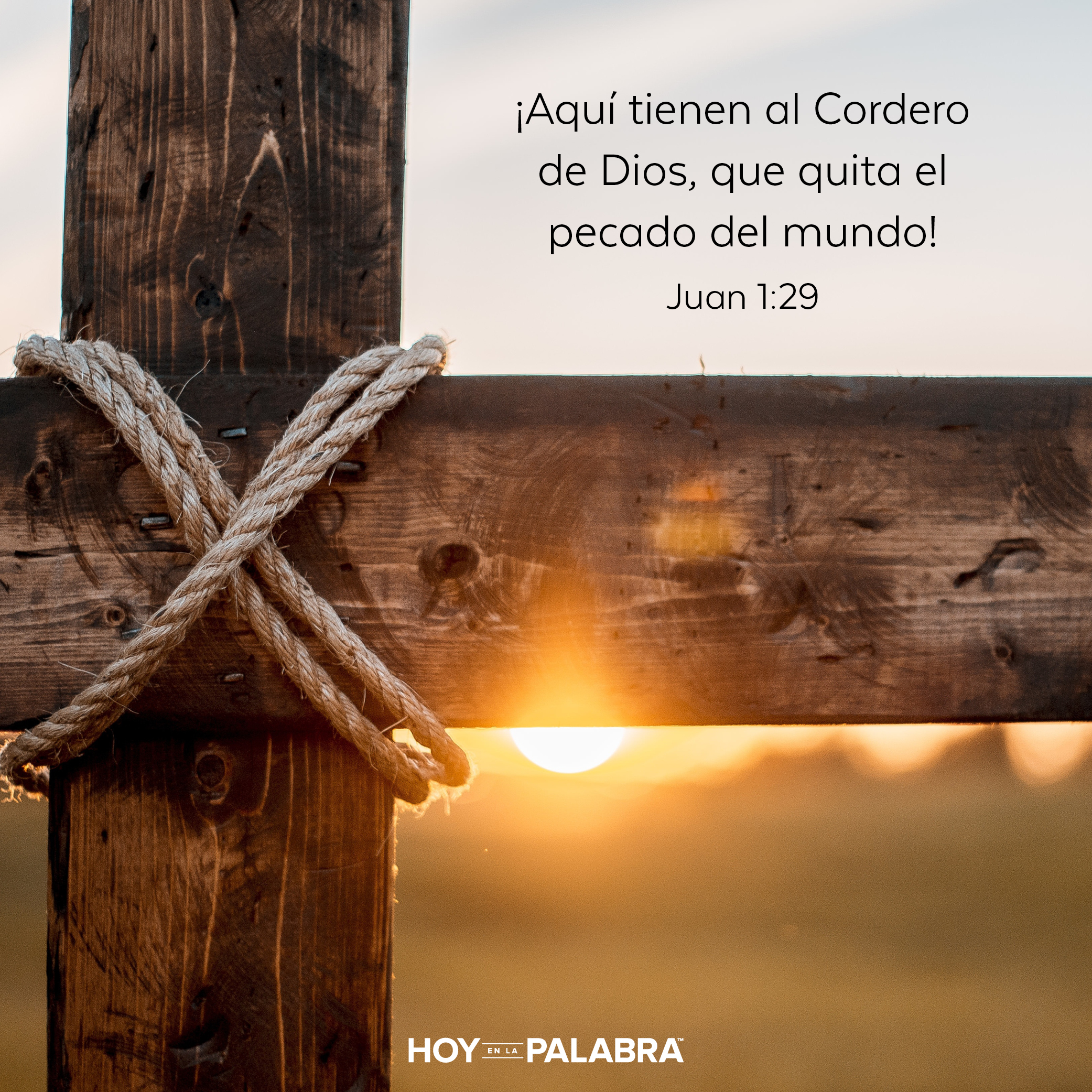 ¡He aquí­ el Cordero de Dios!