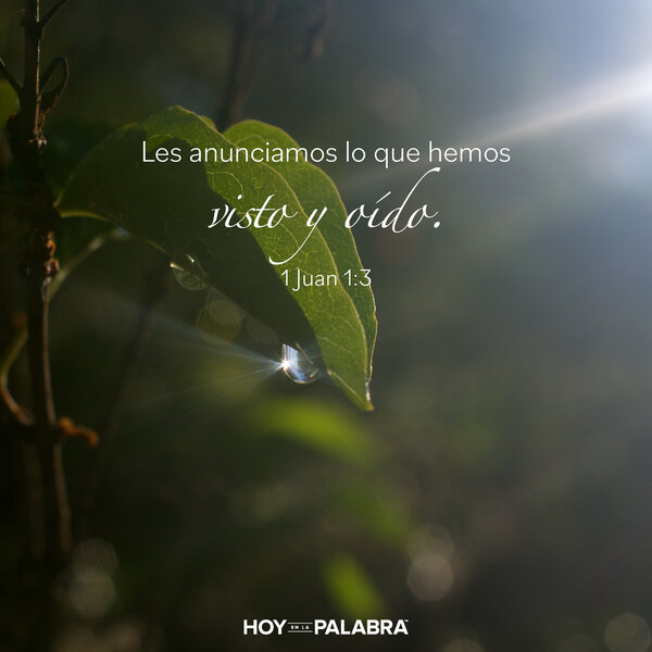 Testigos presenciales