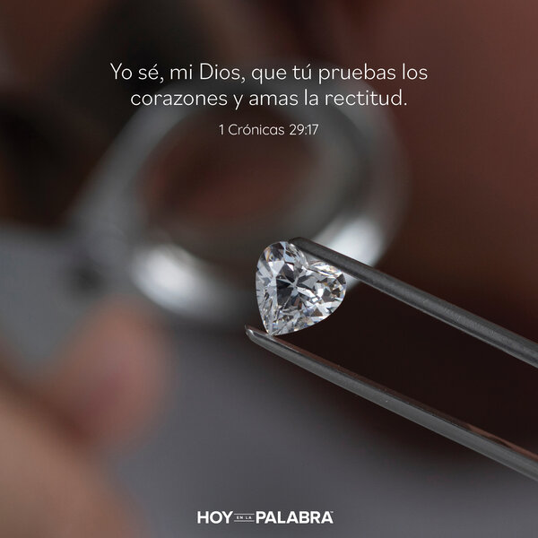 Liderar con el ejemplo