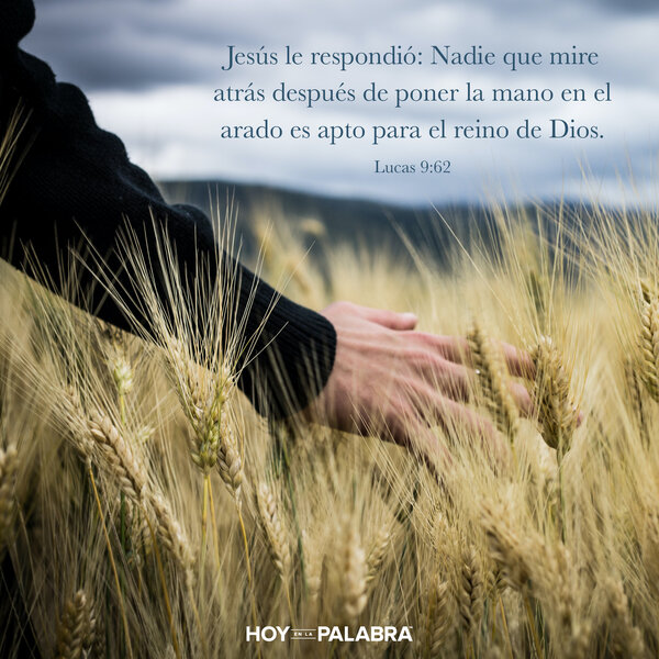 Seguidores inconstantes