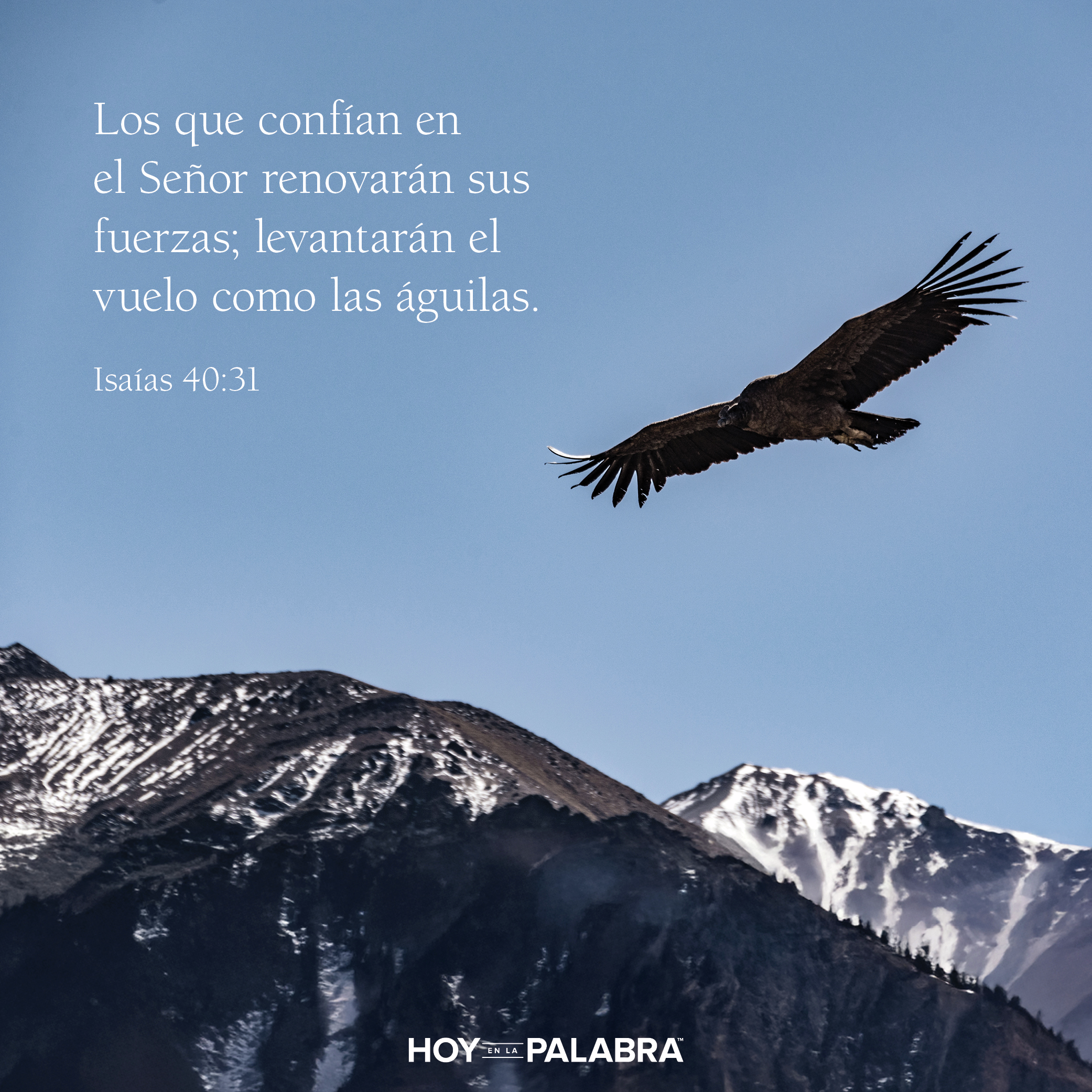 SOBRE ALAS DE ÀGUILA