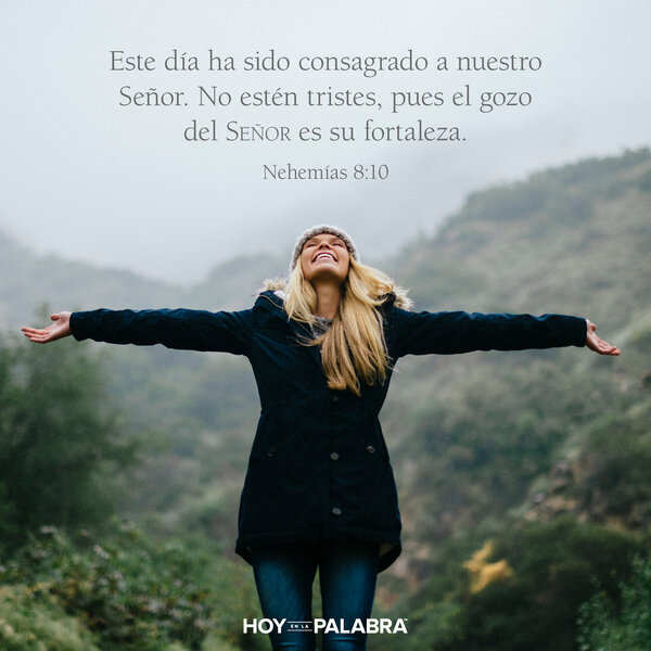 El gozo de comprender