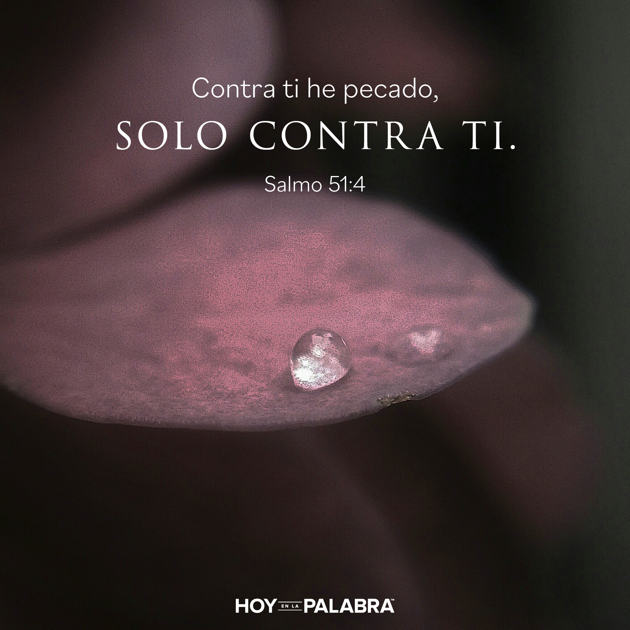 El pecado y la justicia si importan