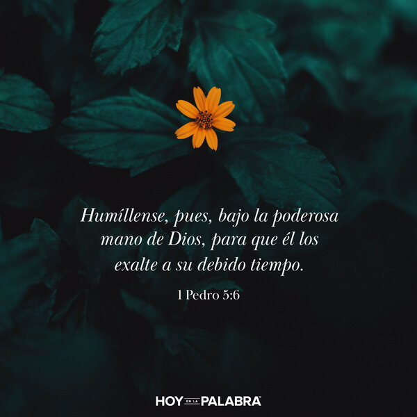 Humildes con los demás