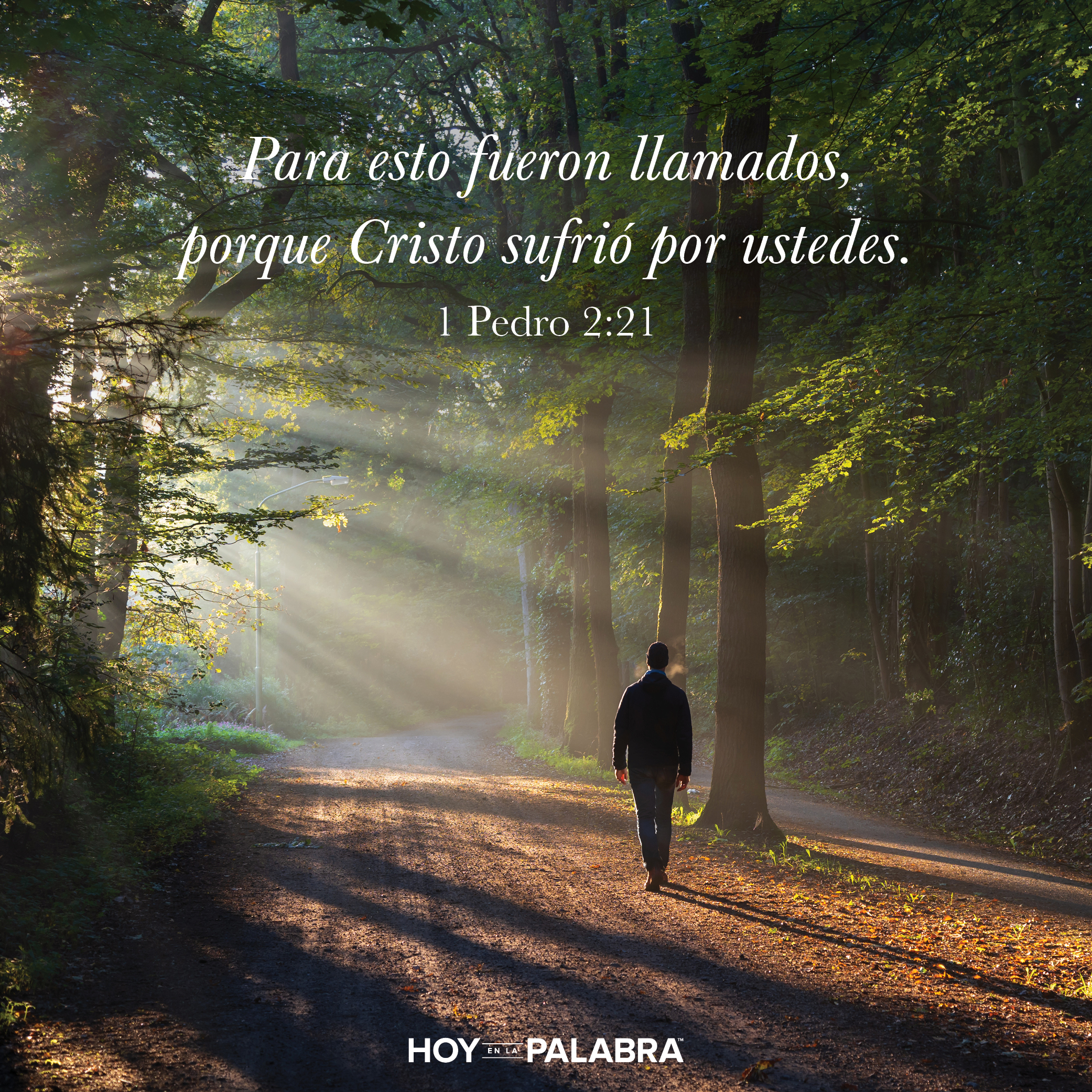 Sumisión y sufrimiento