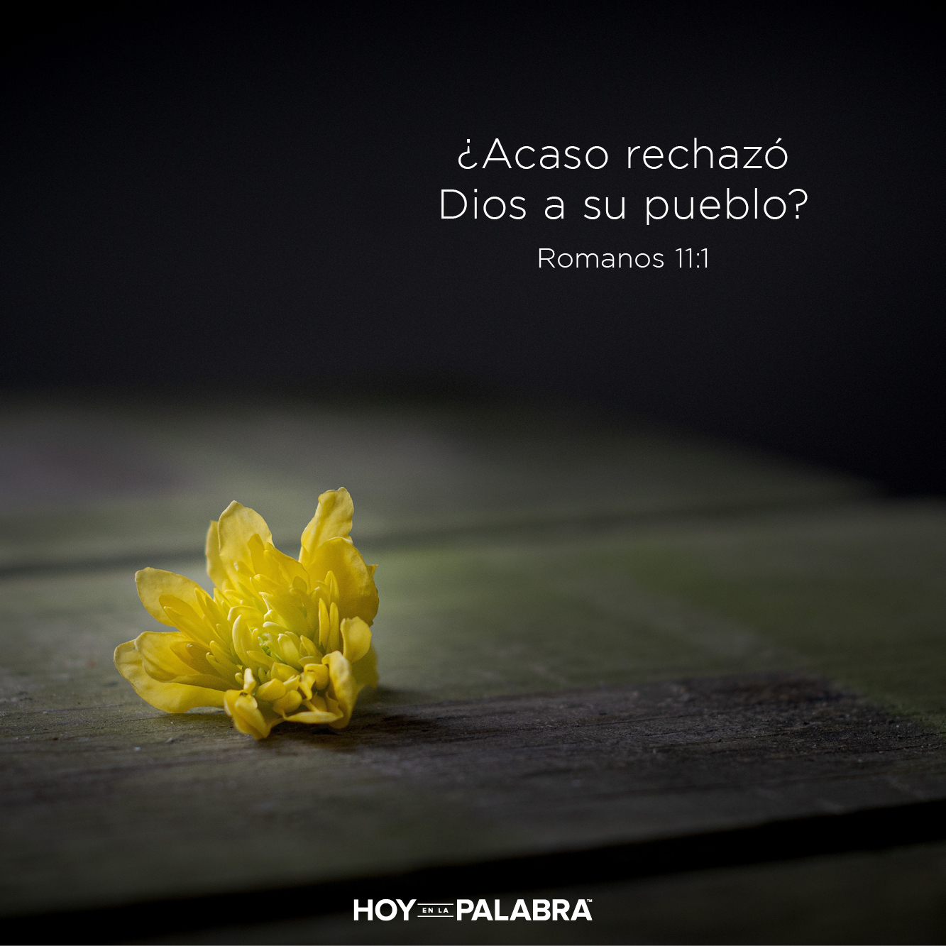 El plan de Dios para Israel