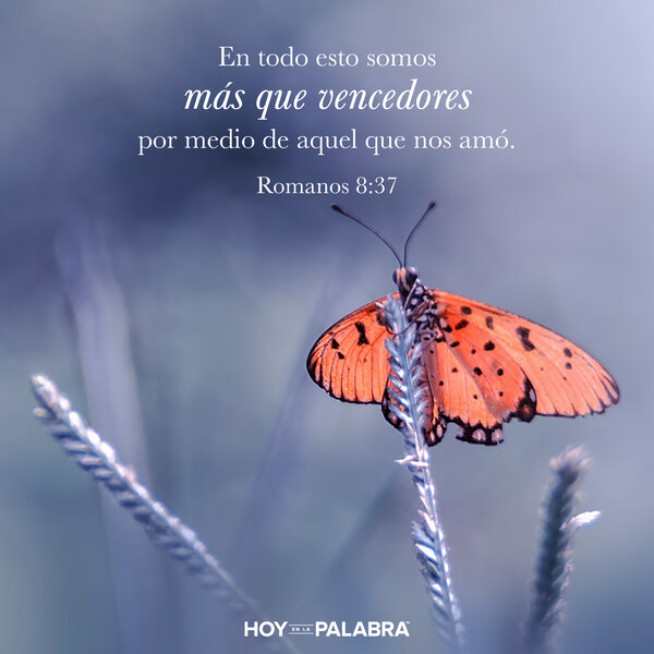 David pide liberación