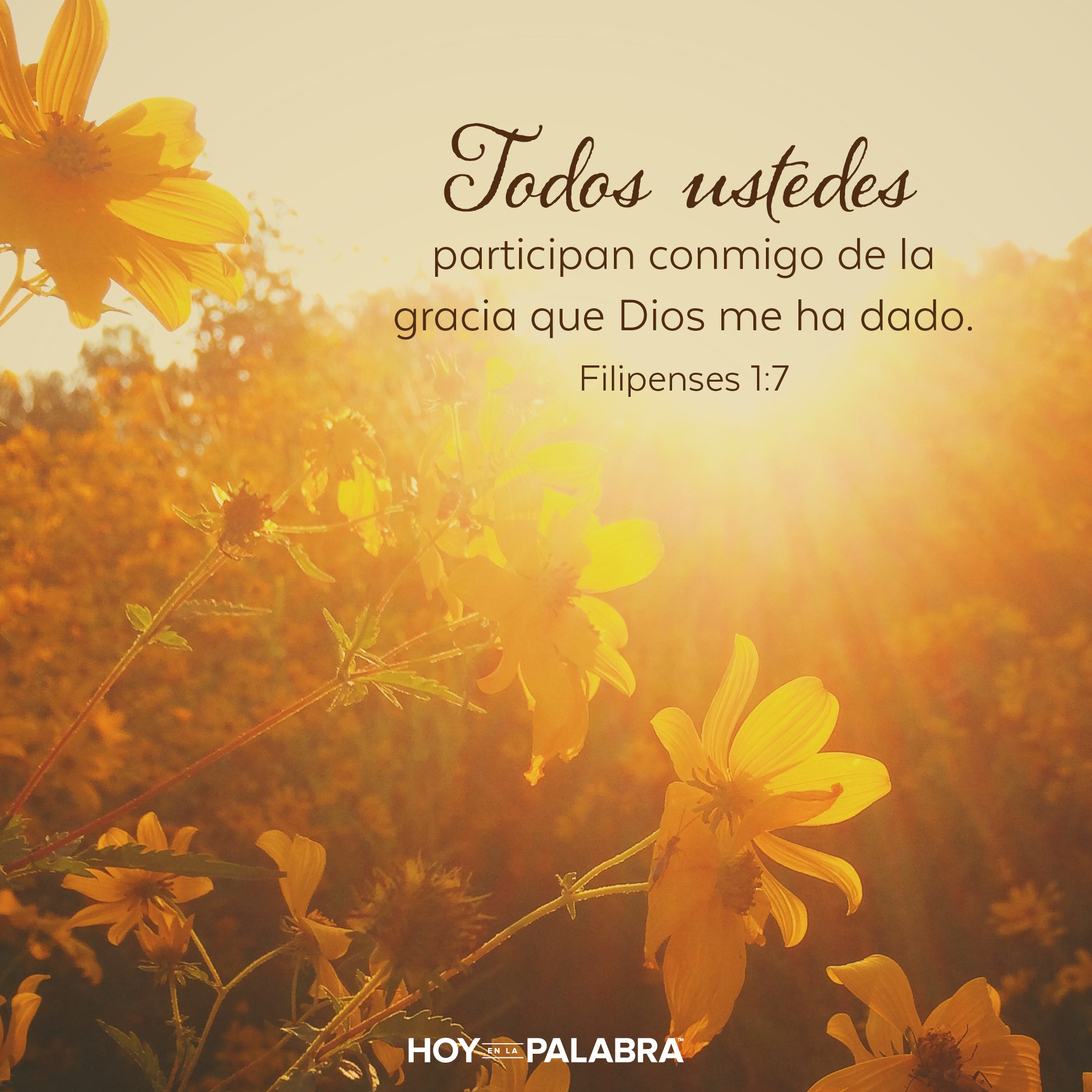 El secreto de la unidad en la iglesia