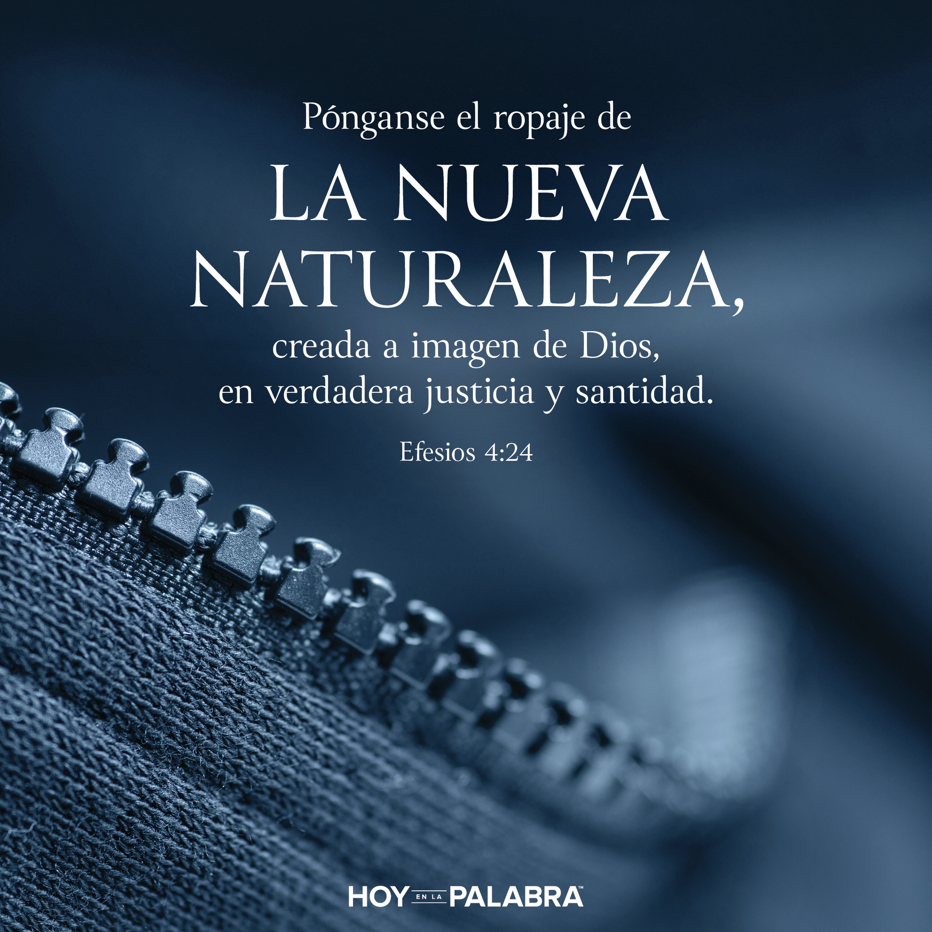 CAMINAR EN NOVEDAD
