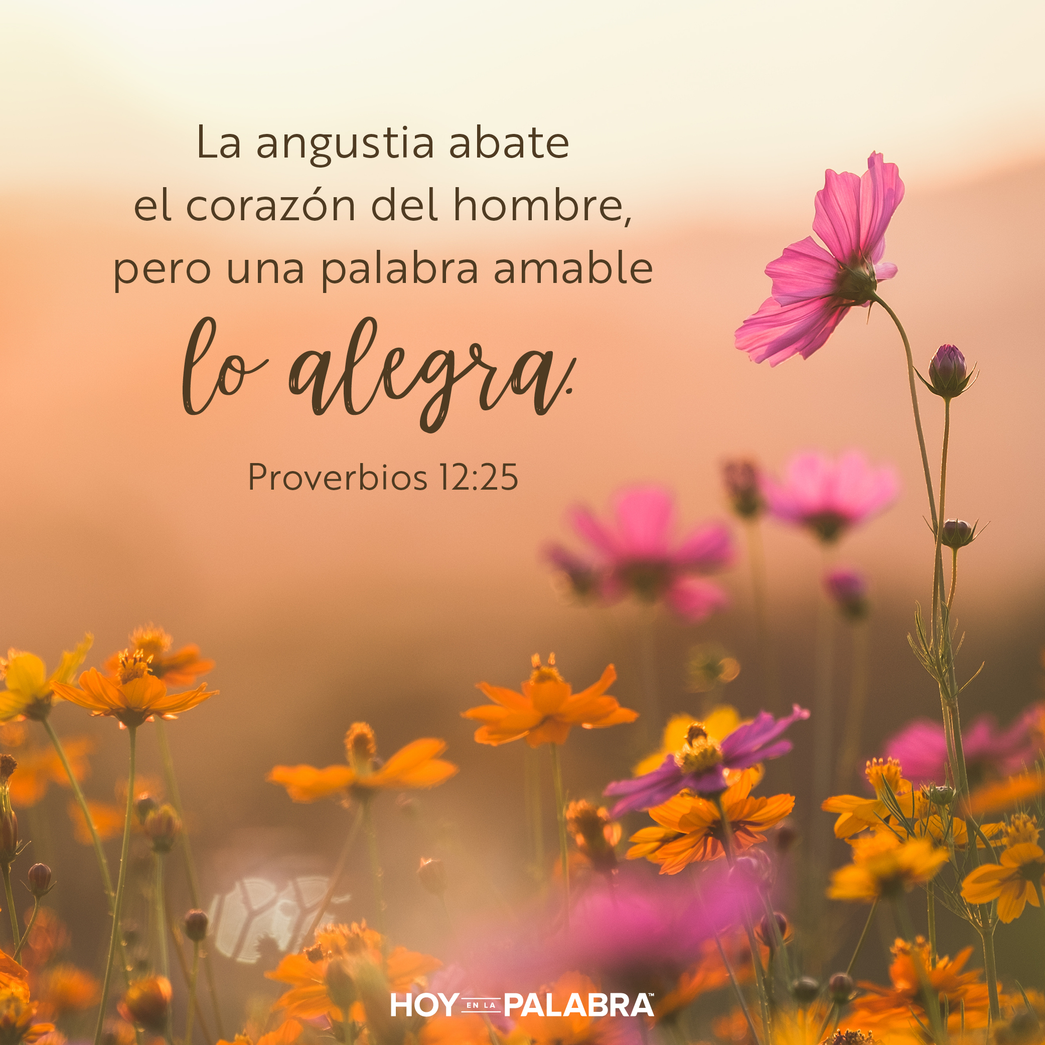 El poder de palabras amables