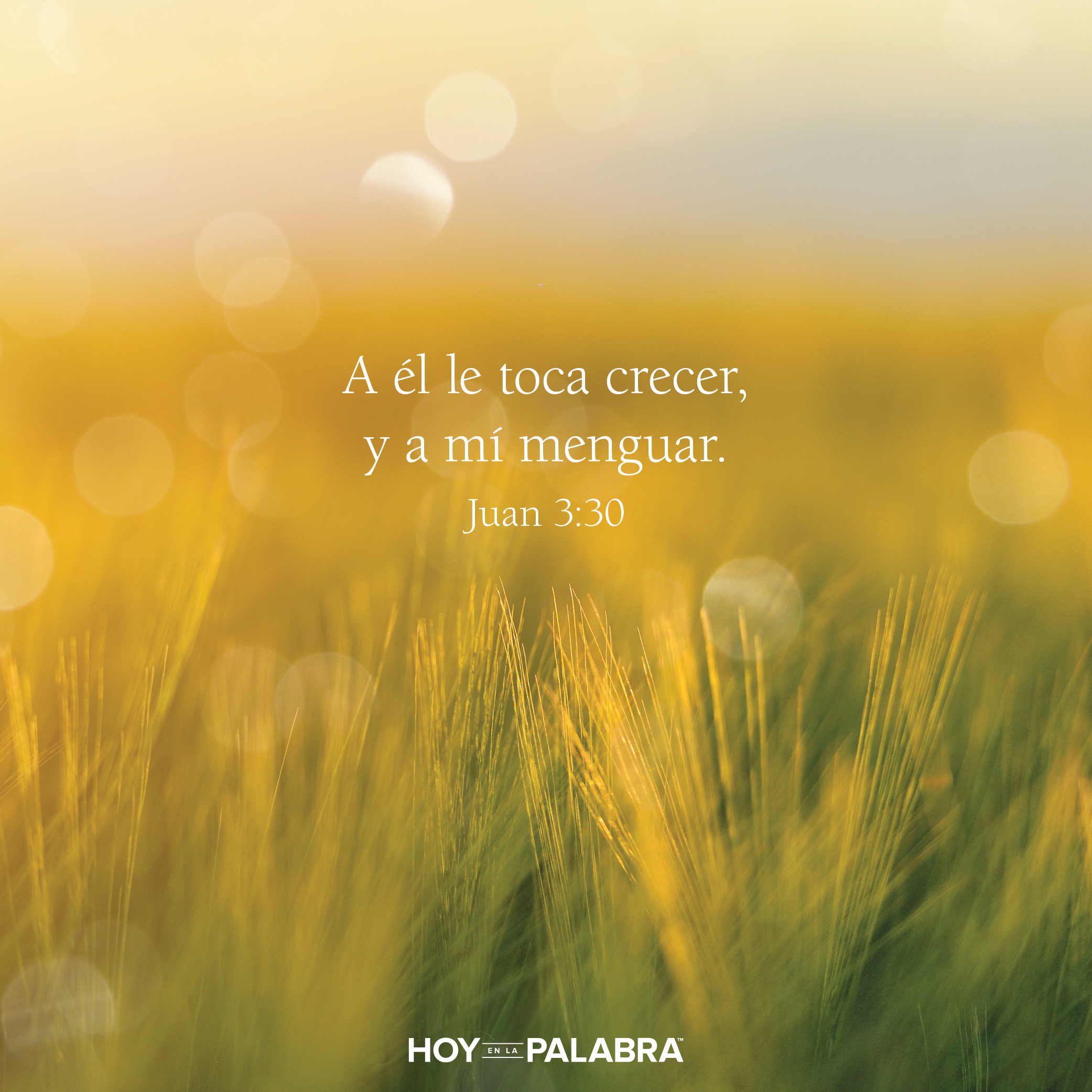 Sin el foco de atención