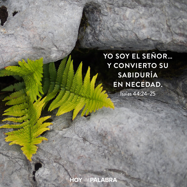 Conocimiento humano y sabiduría divina