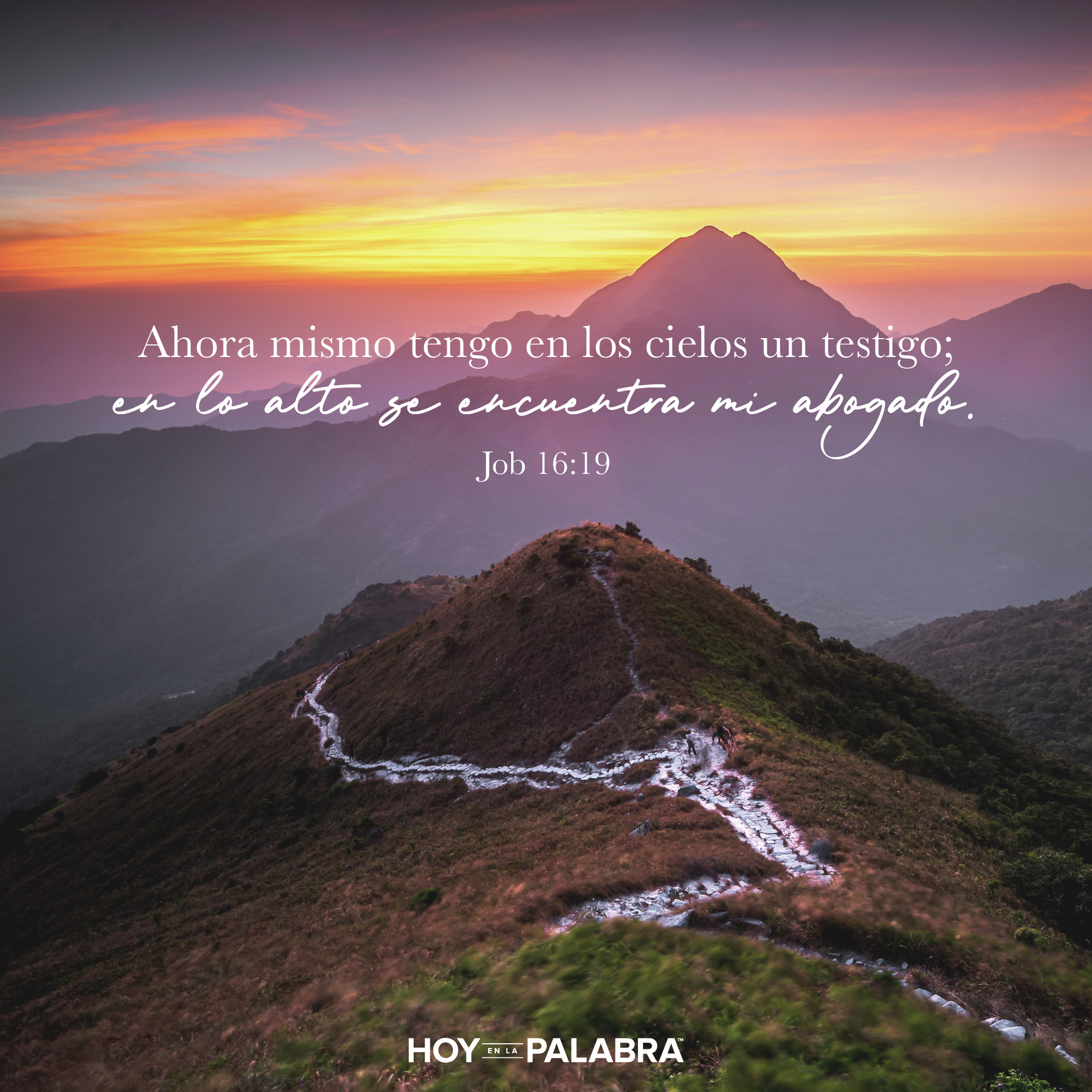 JOB: HE SIDO HUMILLADO