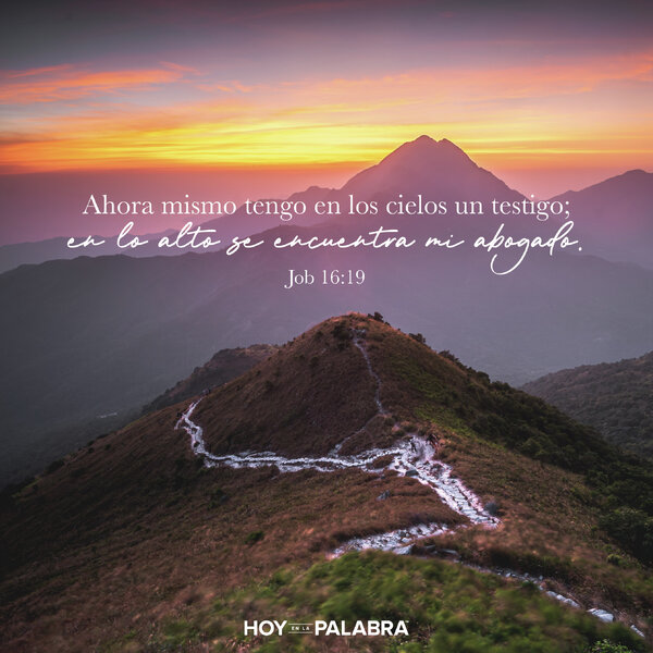 JOB: HE SIDO HUMILLADO