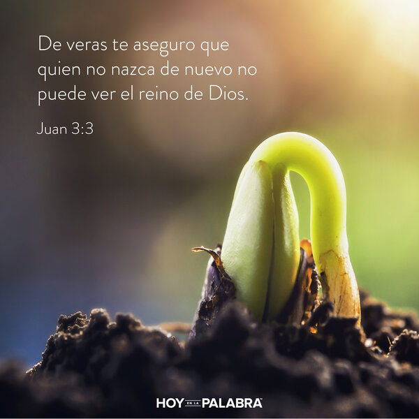 Como aprendió Nicodemo