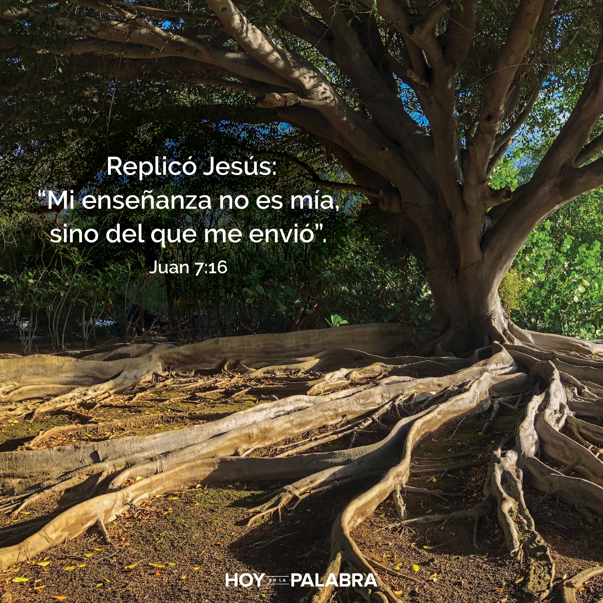 Enseñar con autoridad