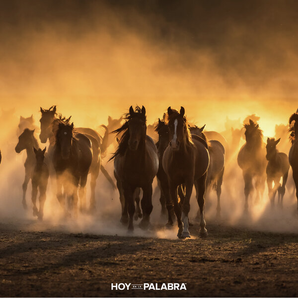 LAS VENTANAS DEL CIELO