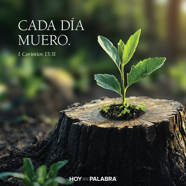 VALENTÍA DE LA RESURRECCIÓN