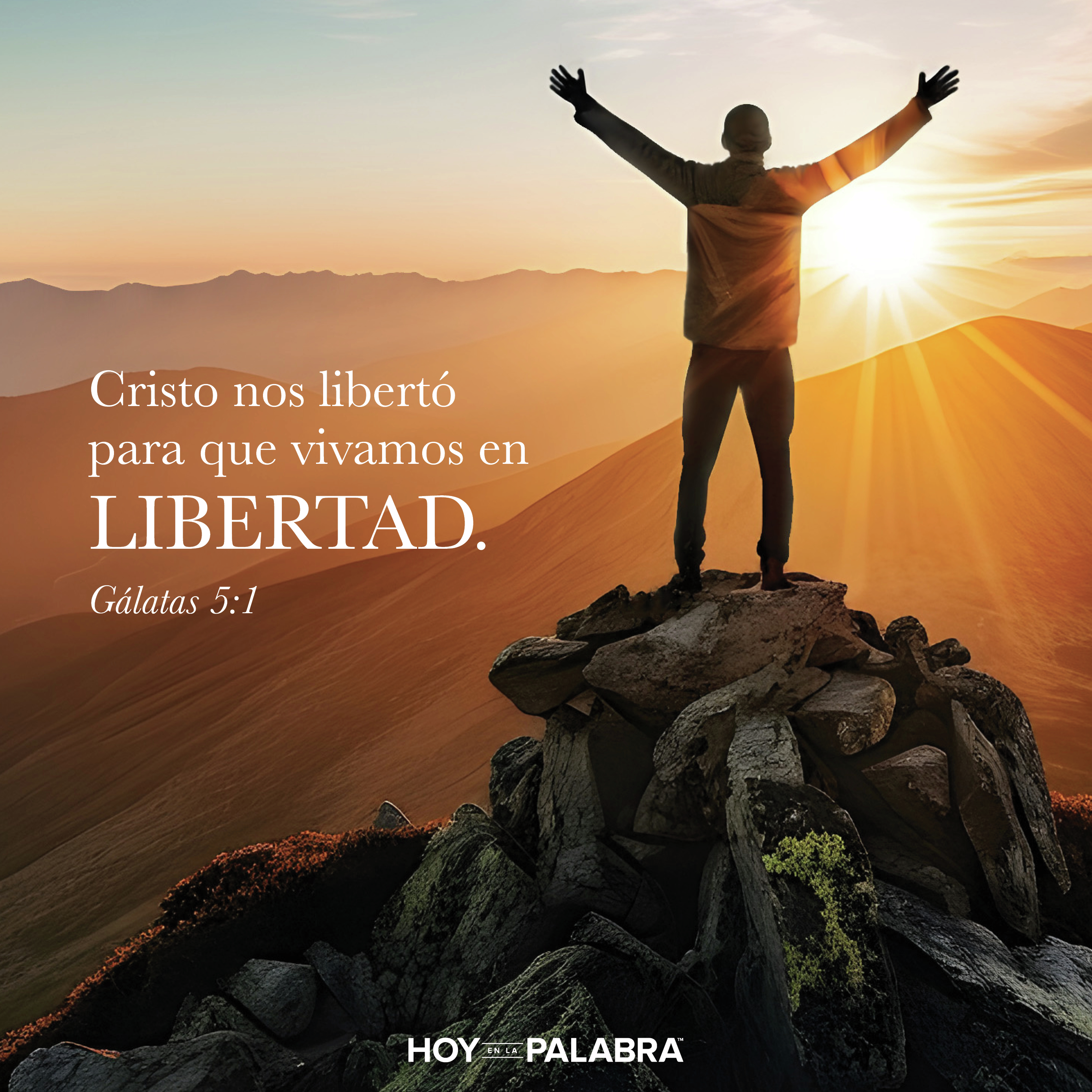 ¡LIBRES!