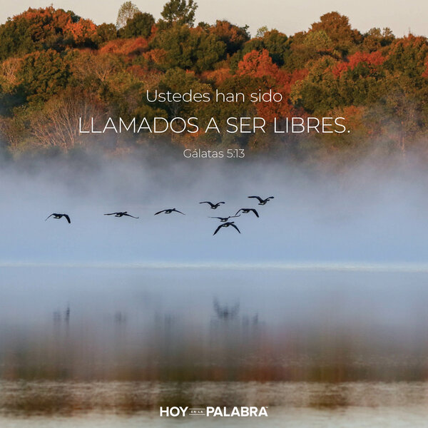 Libertad en dos direcciones