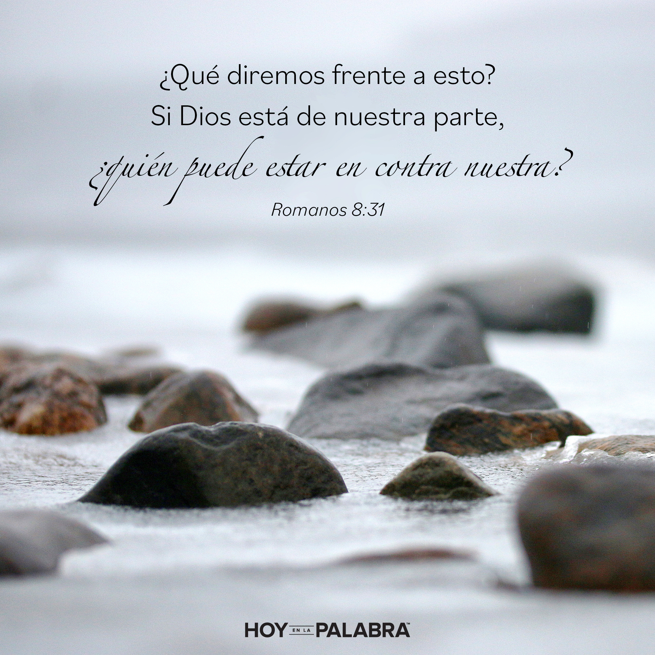 Rajab: Providencia divina