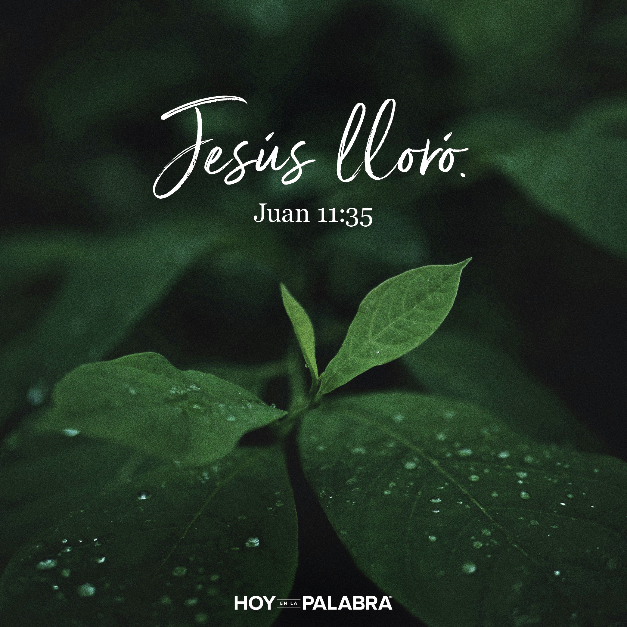 LLANTO ANTE LA TUMBA