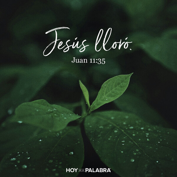 LLANTO ANTE LA TUMBA