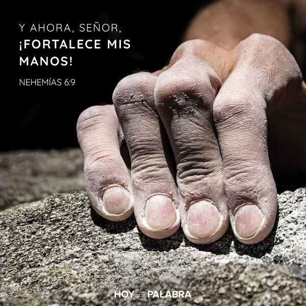 Rechazar la cobardía