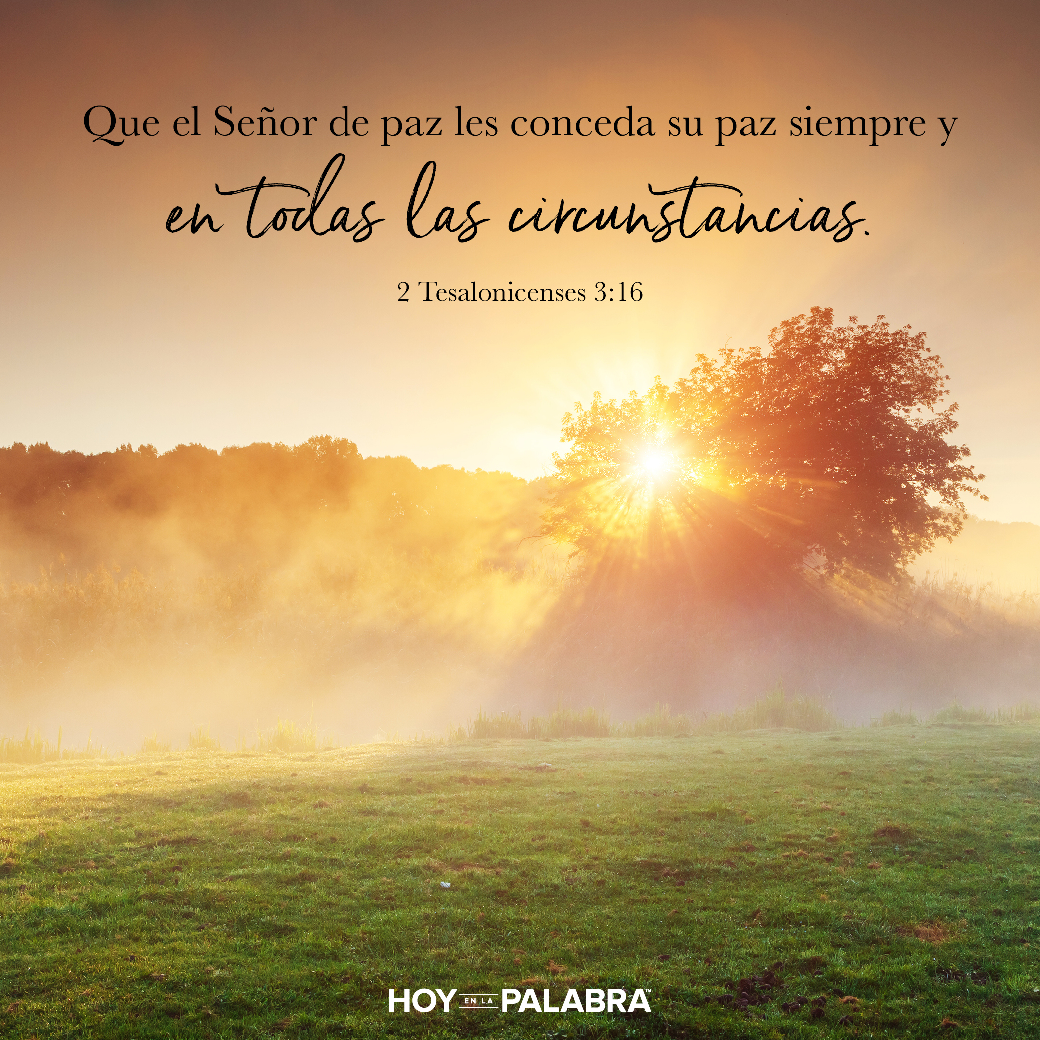 Más amor en Cristo, Pablo