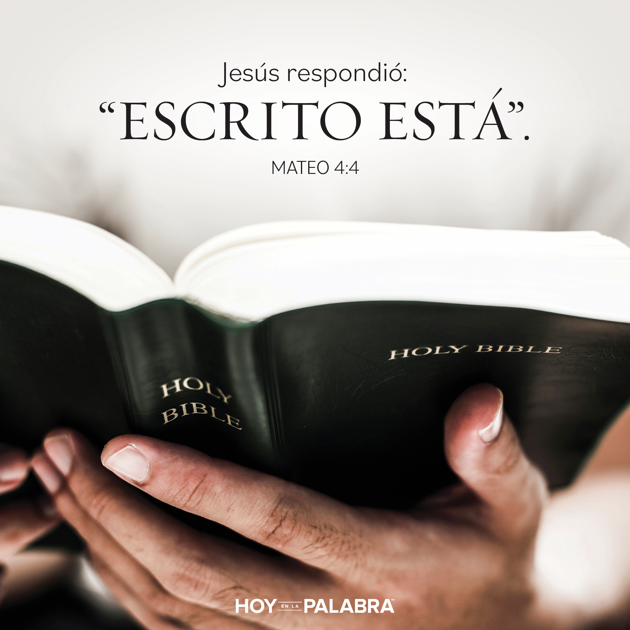 SEGUIR EL EJEMPLO DE CRISTO