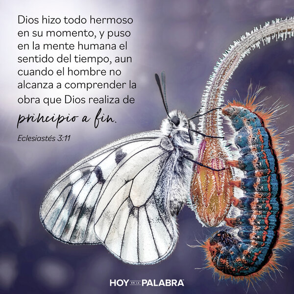 Noemí y Rut: ¡Justo a tiempo!