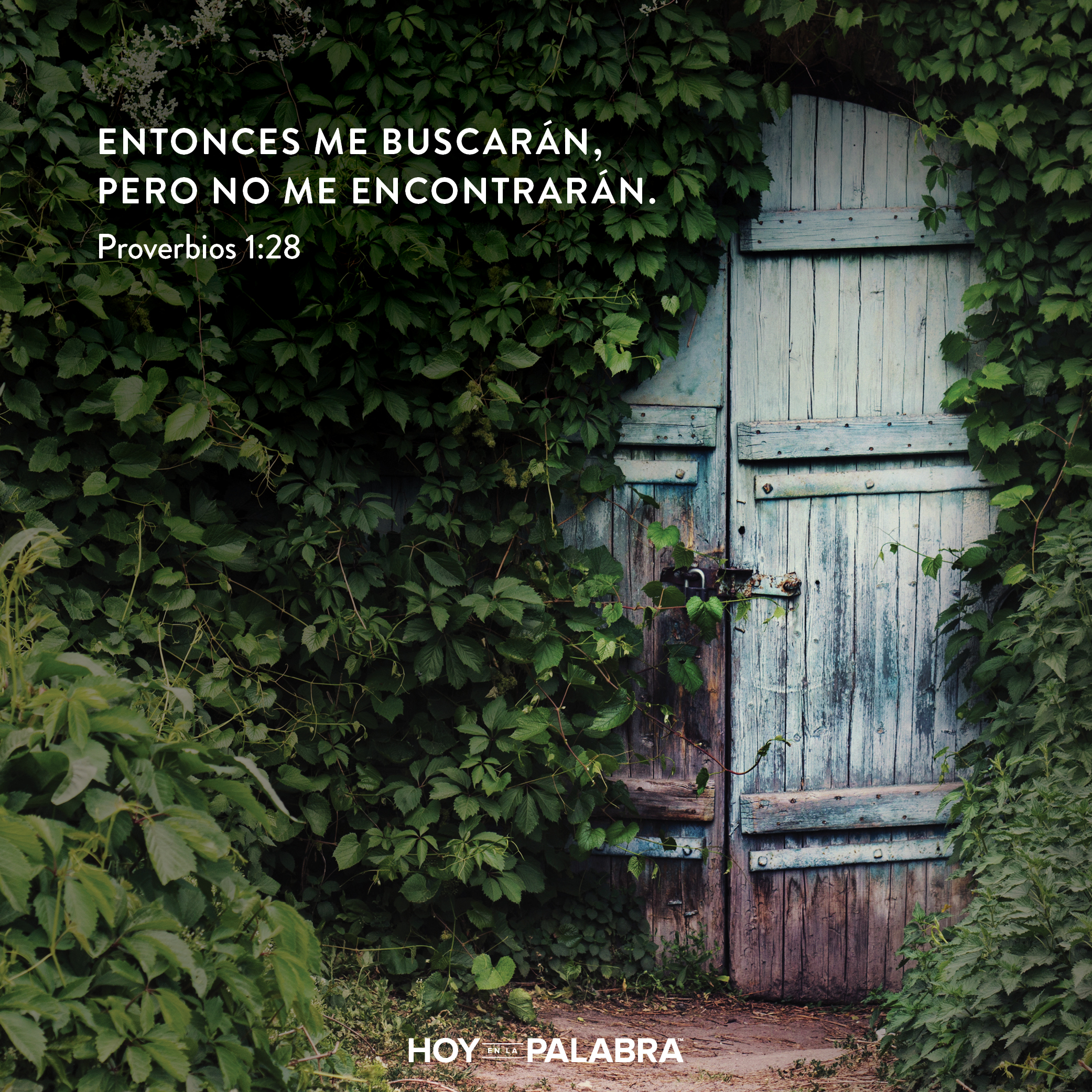 Cuando se rechaza la sabiduría