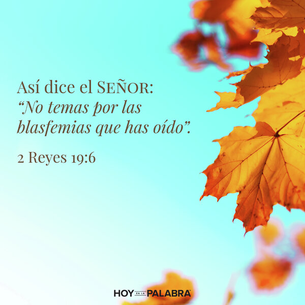 LIBRADOS EN EL ÚLTIMO MOMENTO