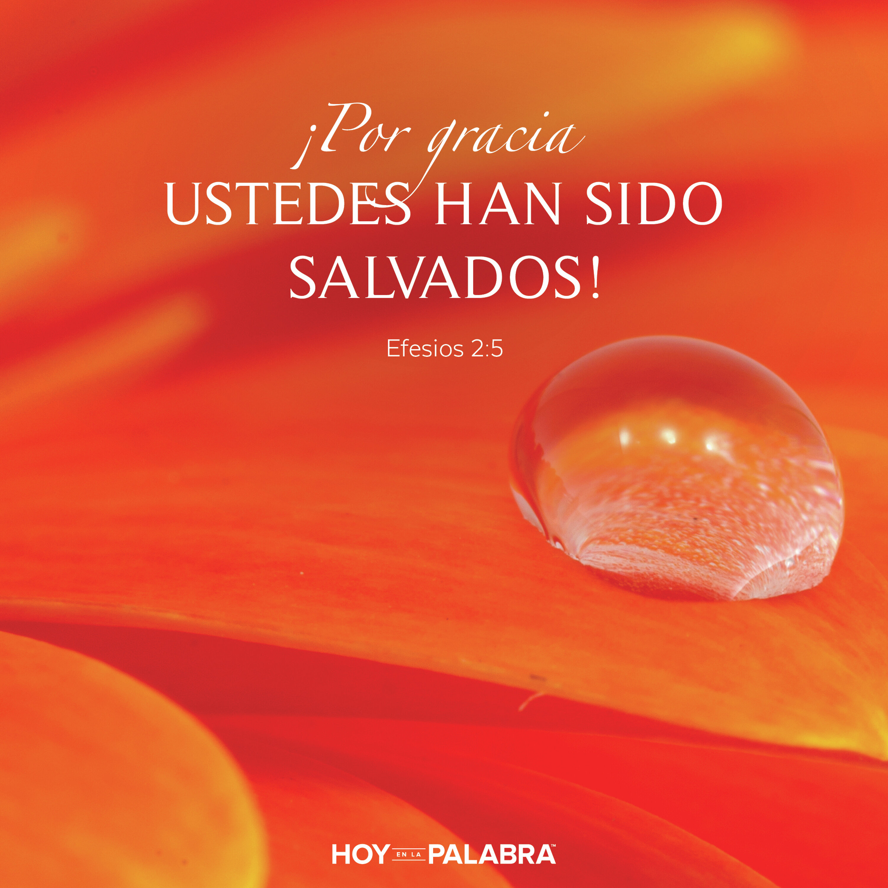 GRACIA INESTIMABLE