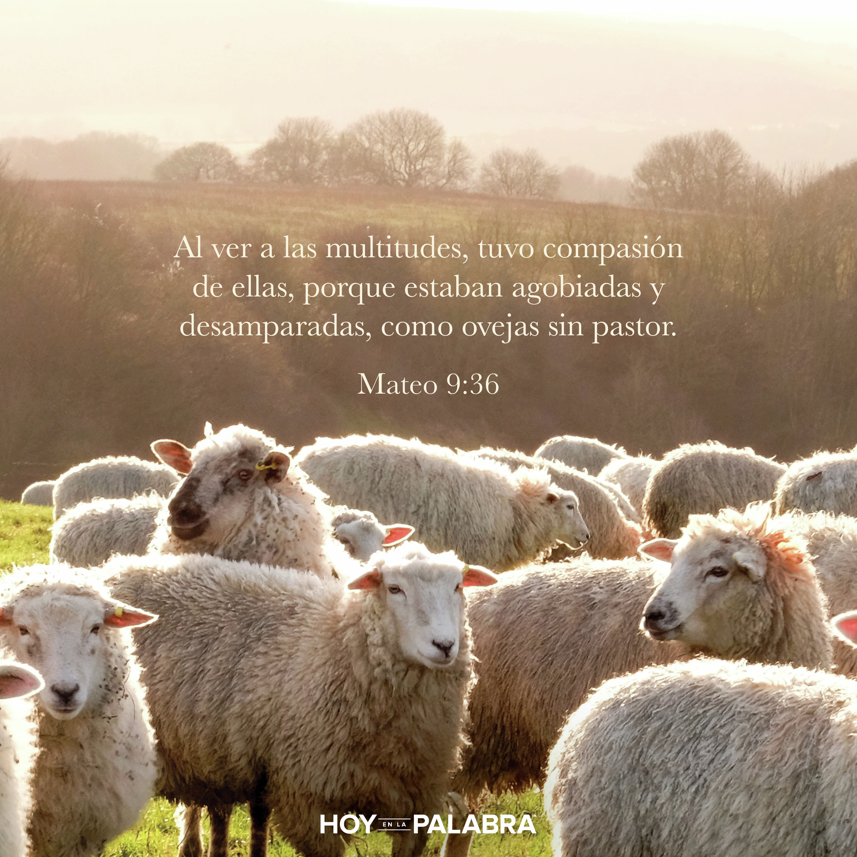 ESPERANZA EN SU PRESENCIA