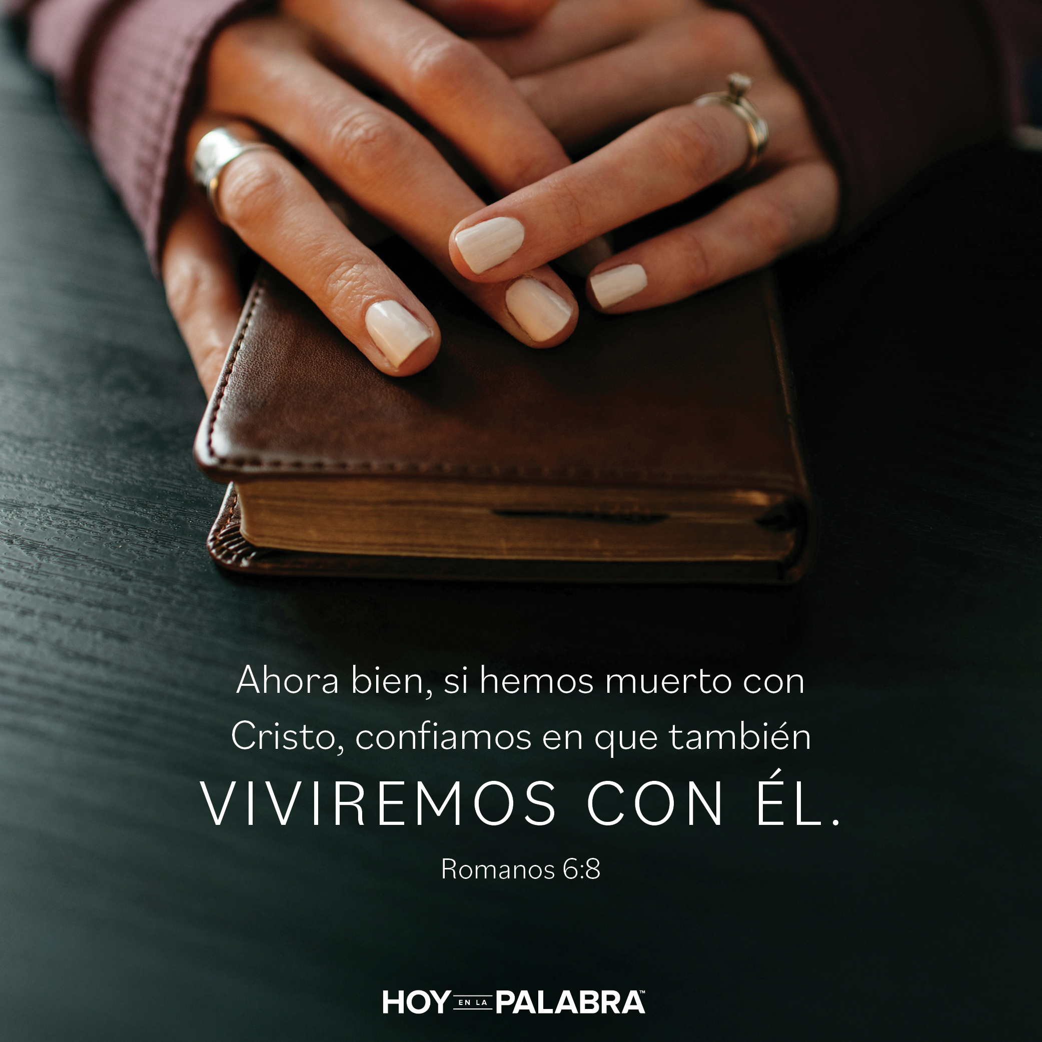 LEVANTADOS A LA VIDA