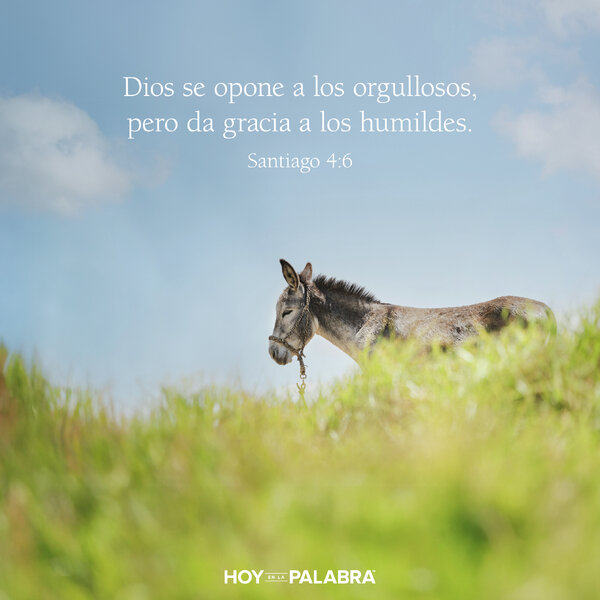 BURROS PARLANTES