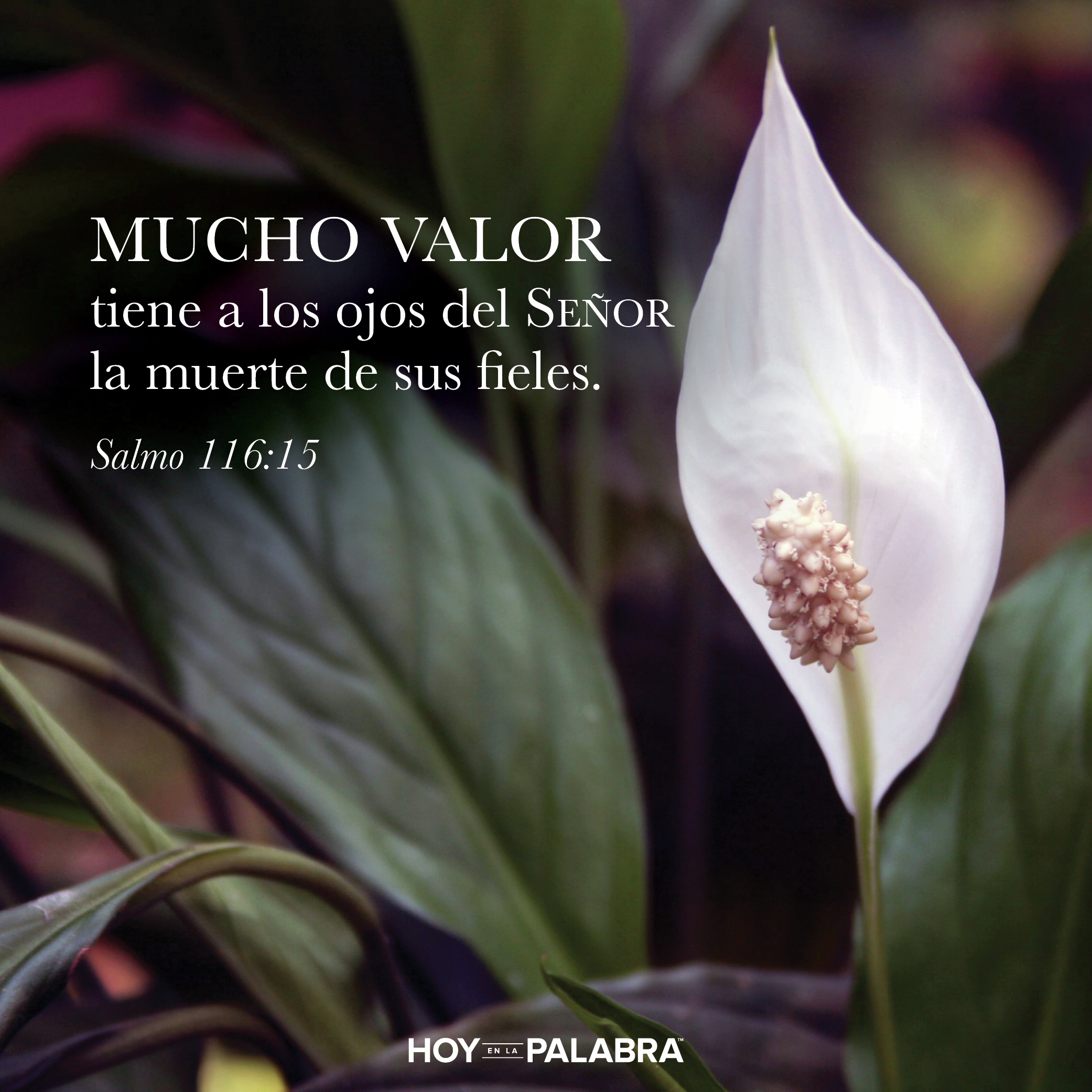 PERDONAR LO IMPERDONABLE