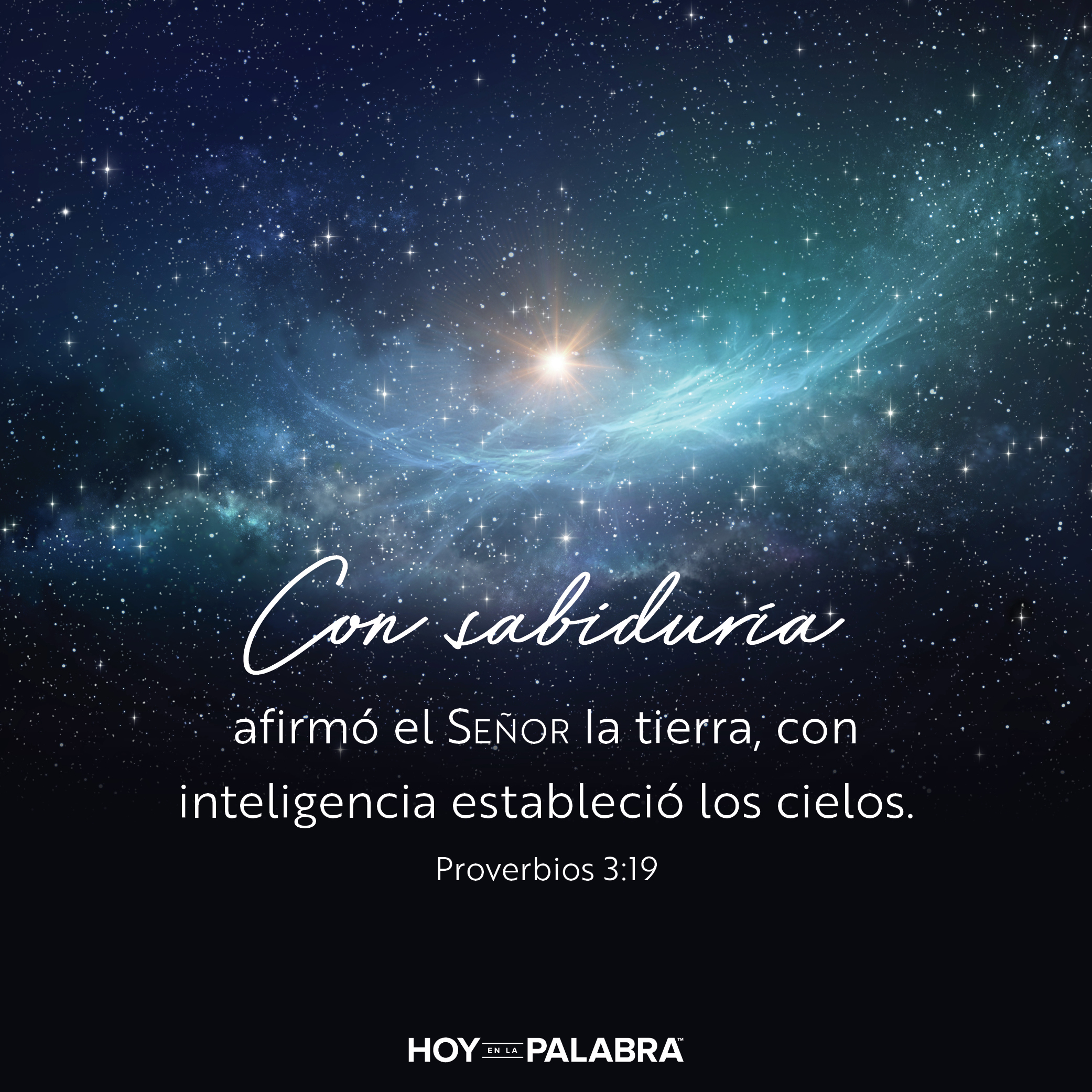 Sabiduría en la creación