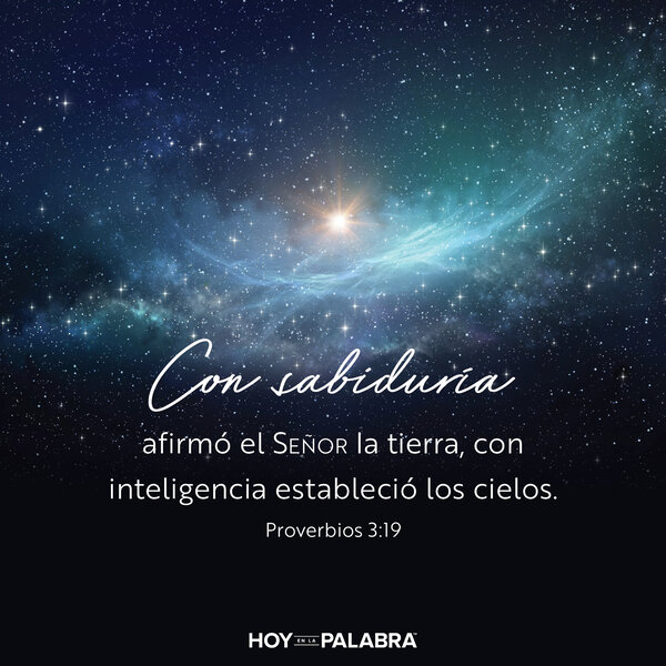 Sabiduría en la creación